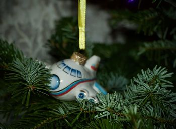 Close-up of christmas tree on plant