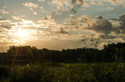 Scenic view of field against sky during sunset