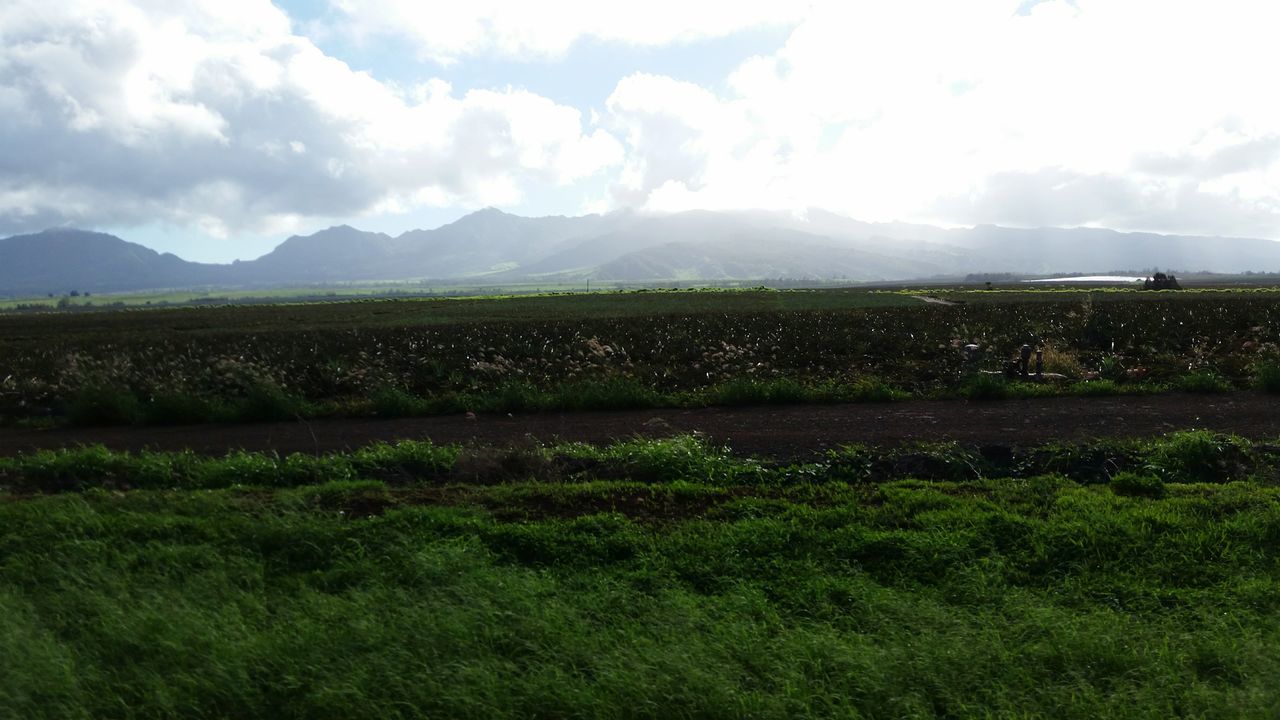 landscape, mountain, tranquil scene, tranquility, field, sky, scenics, beauty in nature, green color, grass, nature, rural scene, mountain range, grassy, agriculture, cloud - sky, growth, non-urban scene, idyllic, farm