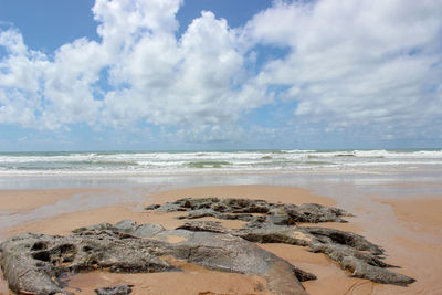 Scenic view of beach against sky