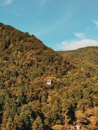 High angle view of trees on landscape against sky