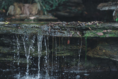 Water flowing through rocks on lake in forest