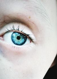 eye