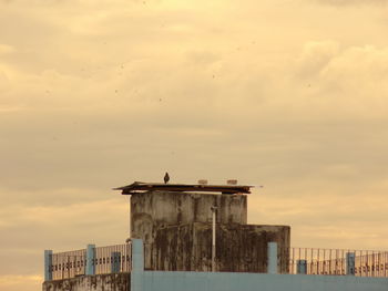 Seagull perching on wooden post by sea against sky