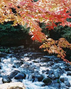 Water flowing through rocks