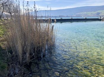 Scenic view of lake against sky