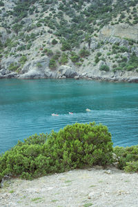 Scenic view of sea against trees
