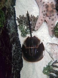 Close-up of plants