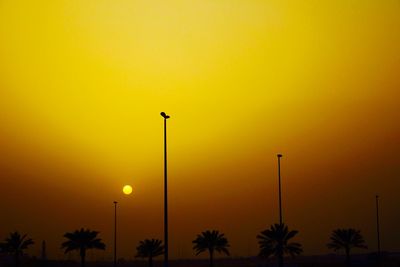 Low angle view of silhouette trees against orange sky