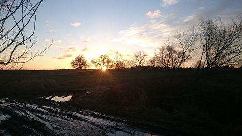 Bare trees on landscape at sunset