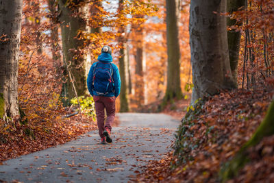 Rear view of woman walking on footpath in forest during autumn