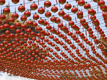 Close-up of fruits hanging on clothesline