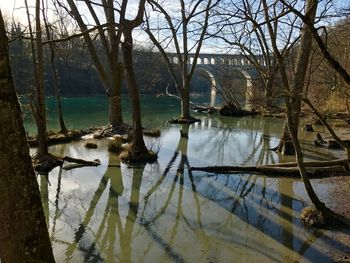 Scenic view of lake against bare trees