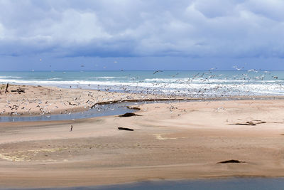 Scenic view of beach against sky