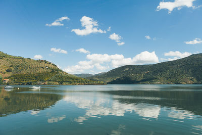 Scenic view of river and mountain