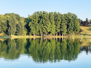 Scenic view of lake by trees against sky