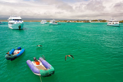 High angle view of pelicans and boats at sea