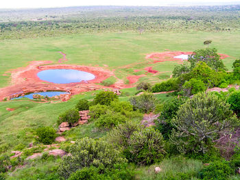 High angle view of trees on landscape