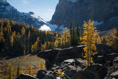 Scenic view of mountains against sky during winter