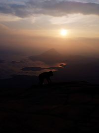 View of a horse on landscape at sunset