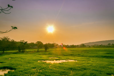 Scenic view of field against sky during sunset