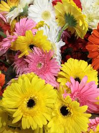 Close-up of yellow flower