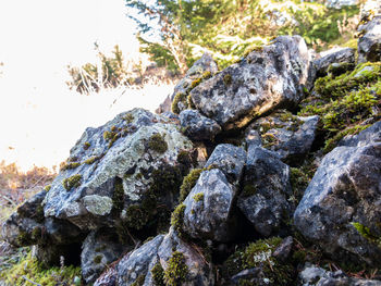 Close-up of rocks