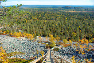High angle view of railroad tracks