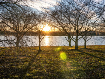 Bare trees by lake against sky during sunset