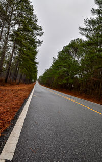 Road amidst trees against sky