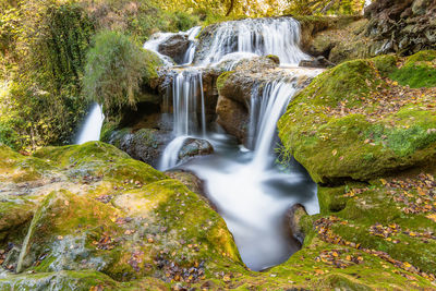 High angle view of waterfall in forest