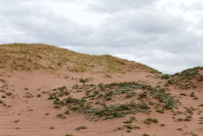 Scenic view of desert against sky