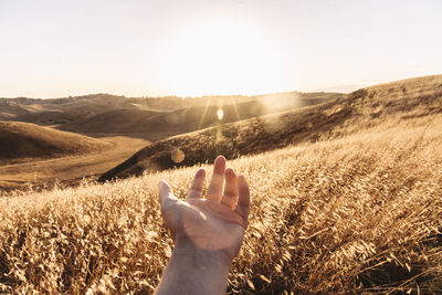 Cropped image of hand over field on sunny day