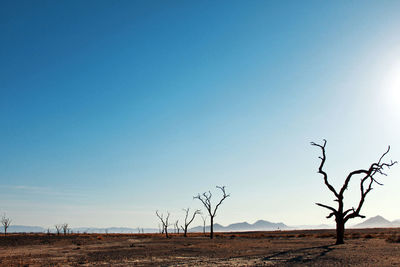 Scenic view of landscape against clear sky