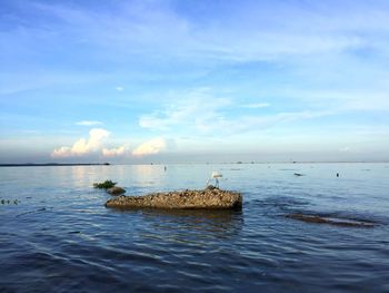 Birds perching on sea against sky