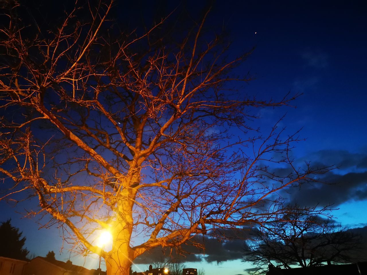 LOW ANGLE VIEW OF SILHOUETTE BARE TREE AGAINST SKY