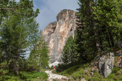 People walking on rock formation amidst trees in forest