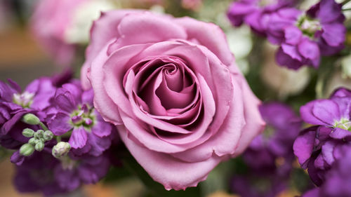 Close-up of pink rose bouquet