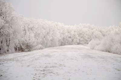 Scenic view of snow covered trees against sky