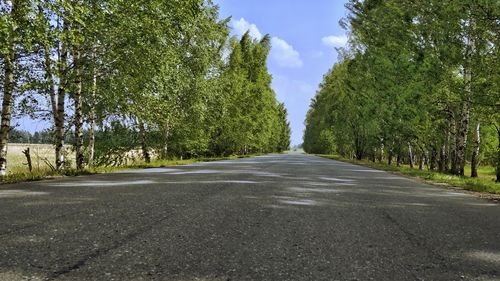 Empty road along trees