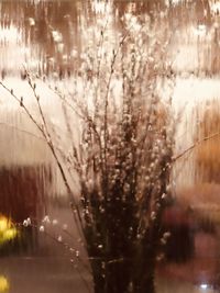 Close-up of wet window in rainy season