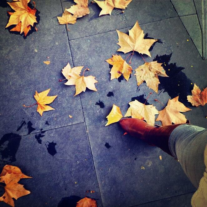 autumn, change, leaf, season, leaves, maple leaf, dry, fallen, high angle view, one person, yellow, shoe, orange color, low section, street, directly above, falling, person, personal perspective, natural condition