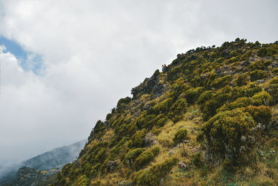 The foggy landscapes of aberdare ranges on the flanks of mount kenya