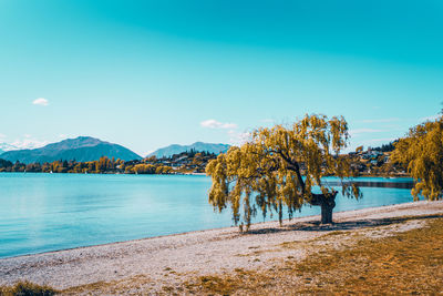 Scenic view of lake against clear blue sky