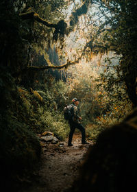 People walking in forest