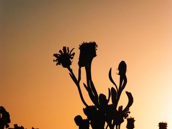 Silhouette tree against orange sky