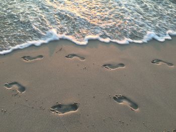 High angle view of beach