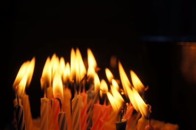Close-up of burning candles
