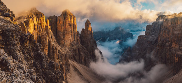 Panoramic view of trees against sky during sunset