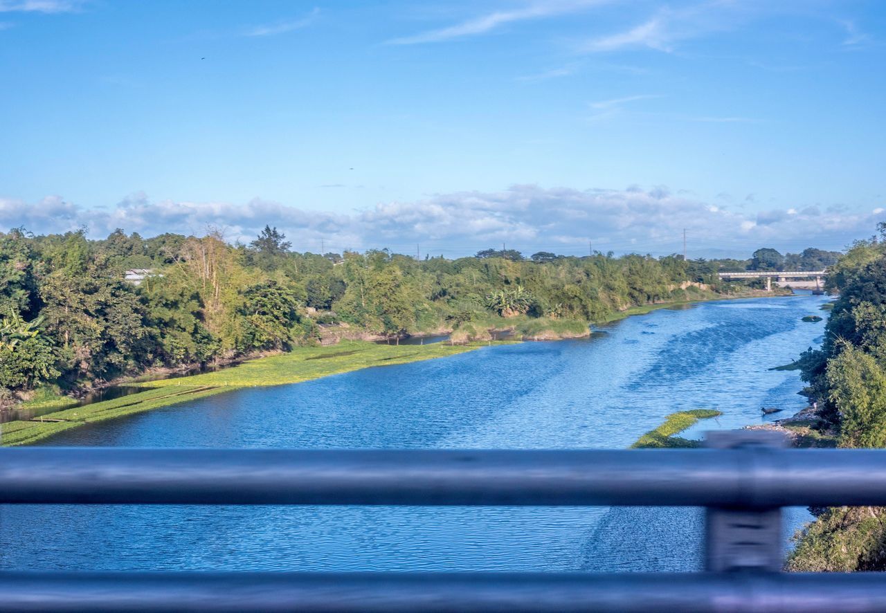 SCENIC VIEW OF RIVER BY TREES AGAINST SKY